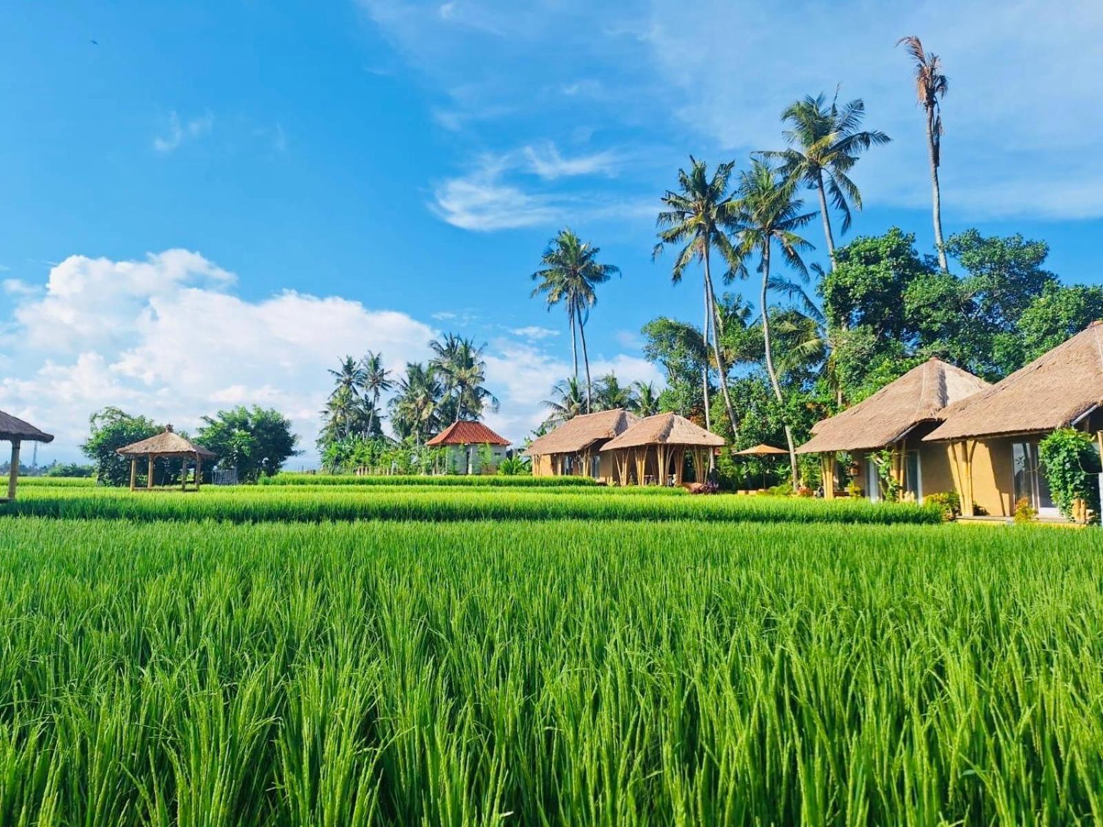Rumah Kita Ecolodge อูบุด ภายนอก รูปภาพ