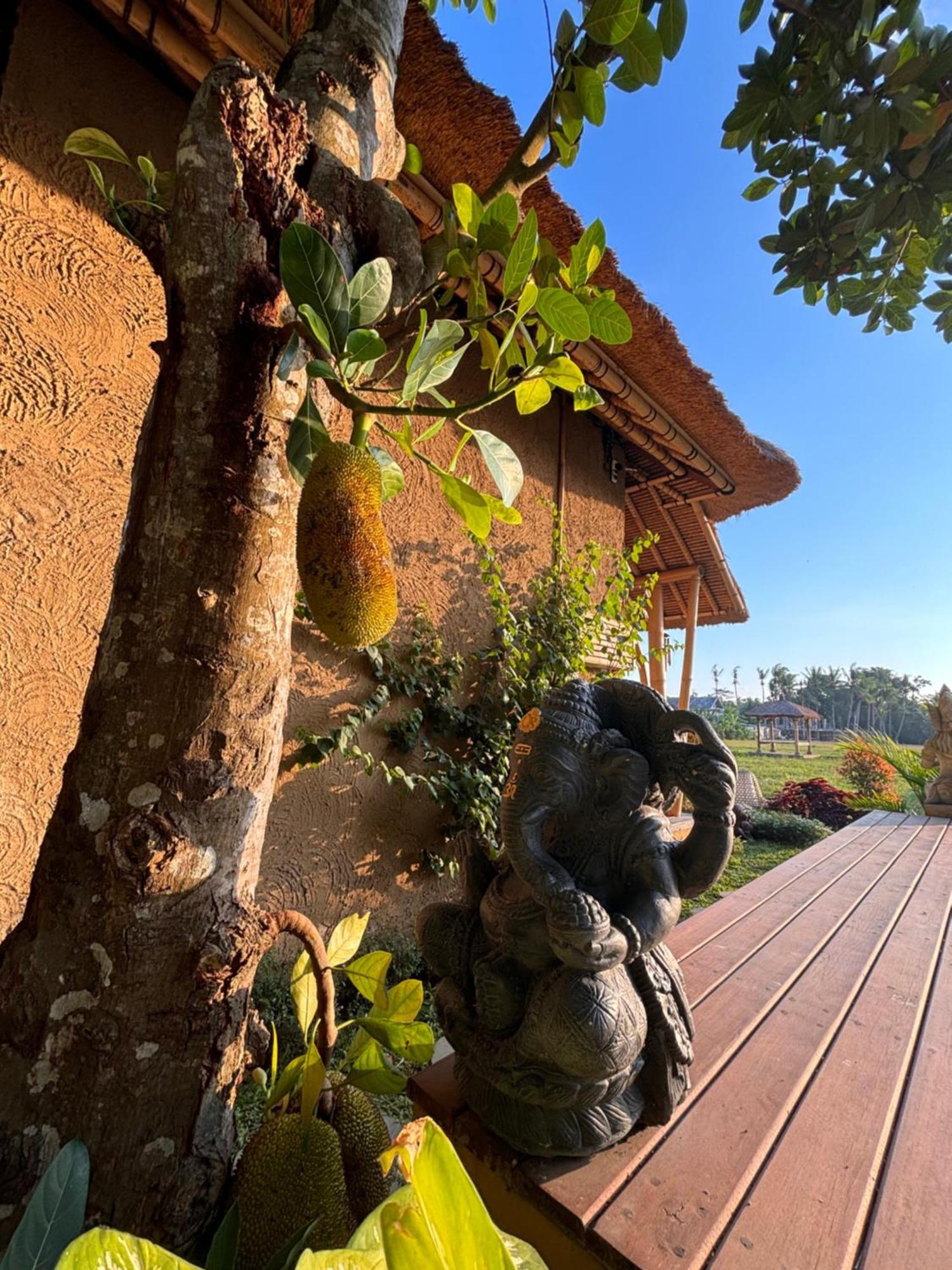 Rumah Kita Ecolodge อูบุด ภายนอก รูปภาพ