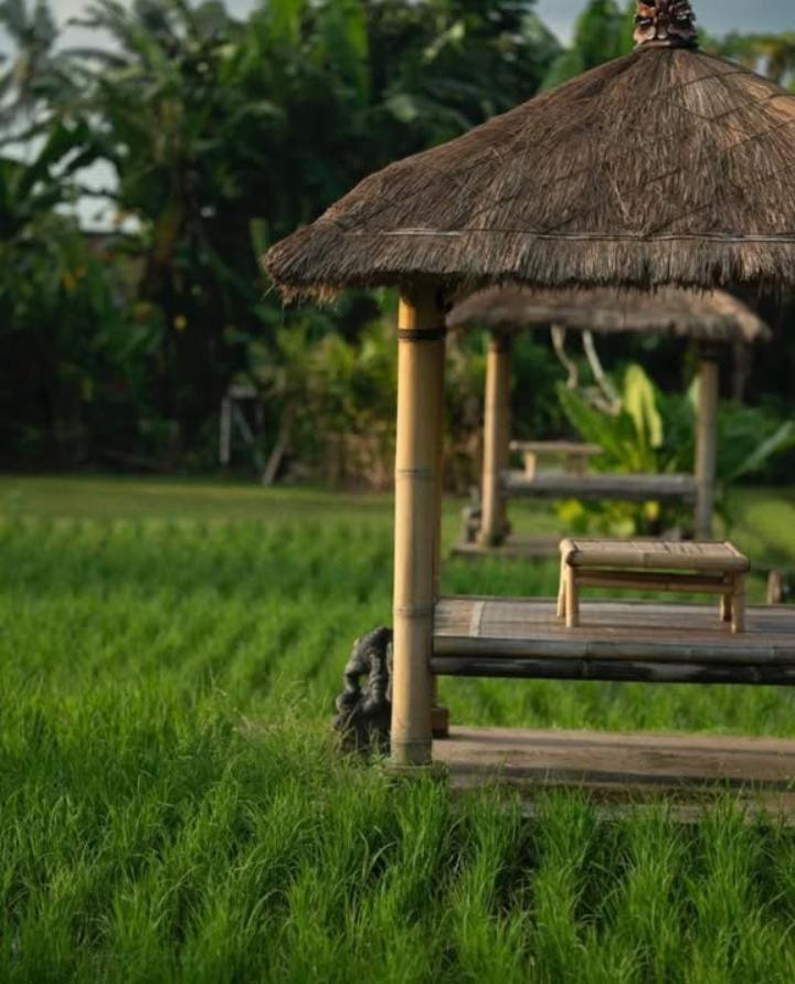 Rumah Kita Ecolodge อูบุด ภายนอก รูปภาพ